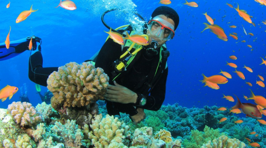 Scuba Diving in Neil Island